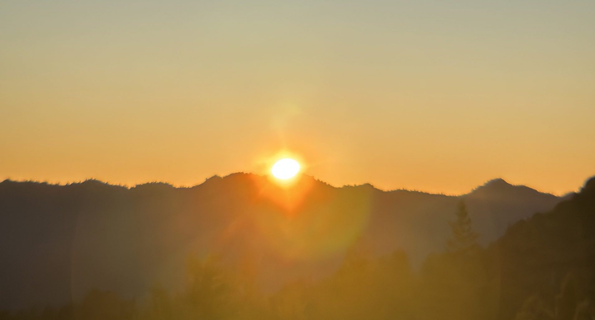 30 Days of Yin and Meditation: Nourish Your Energy for Winter