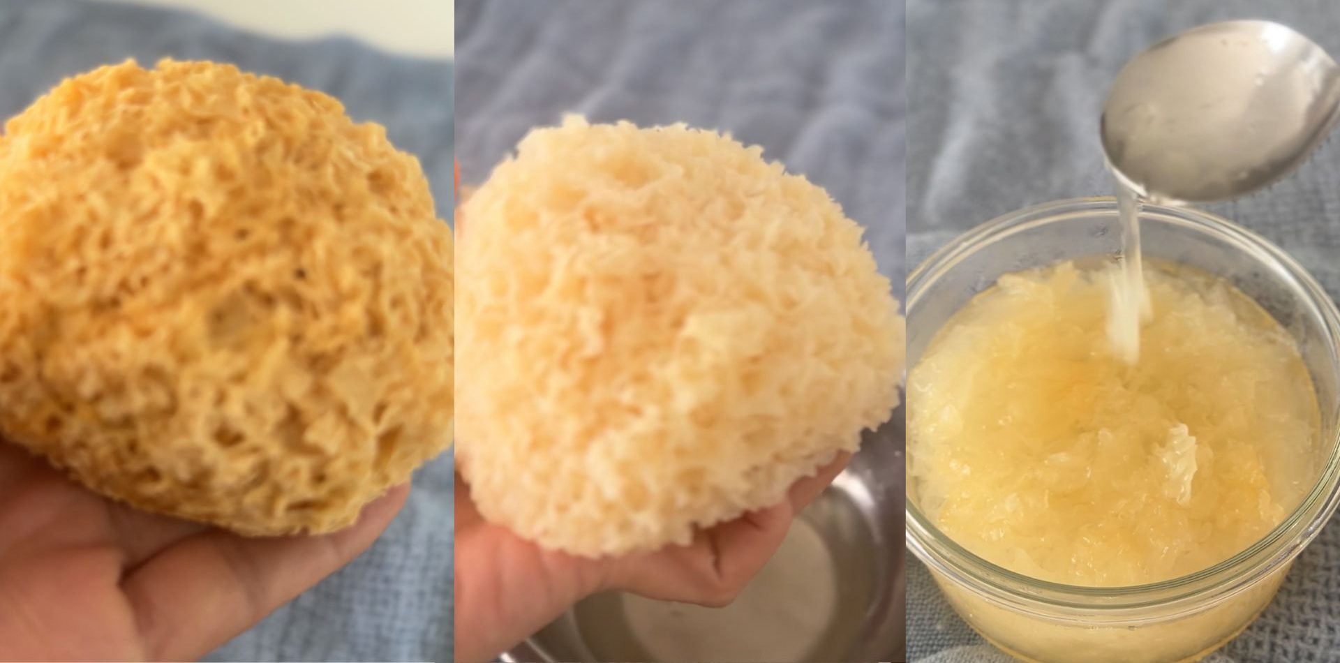 From Brittle to Juicy: What Snow Mushroom Teaches Us About Fascia, Hydration and Yin Yang Yoga